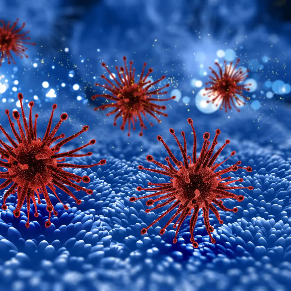 Rød virus