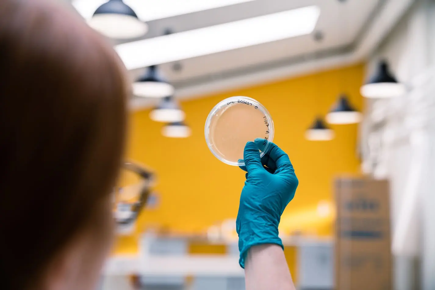 Life Science Fyn petriskål